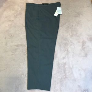 Alfred Dunner Allure Stretch Pants